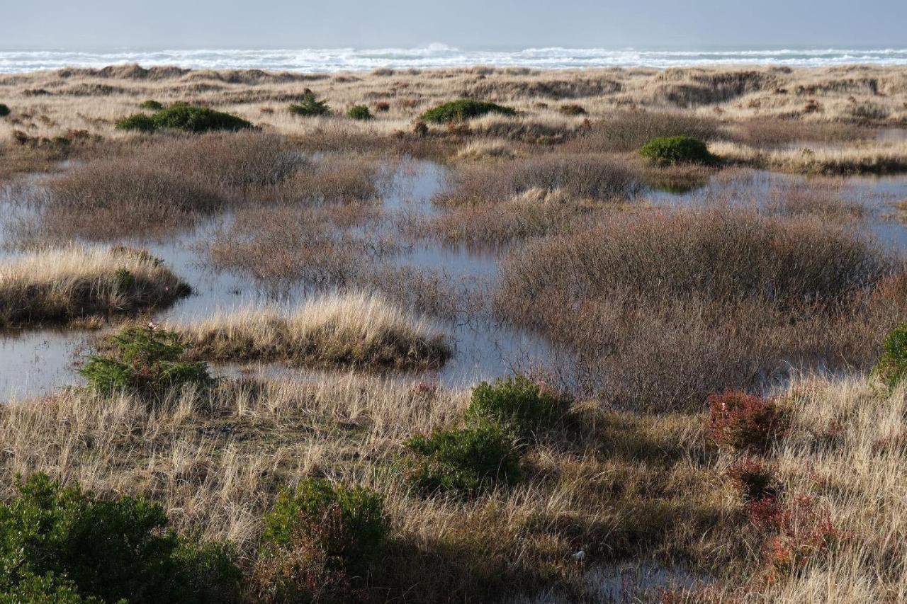 Tidal House #10 - Ocean Shores Chalet エクステリア 写真