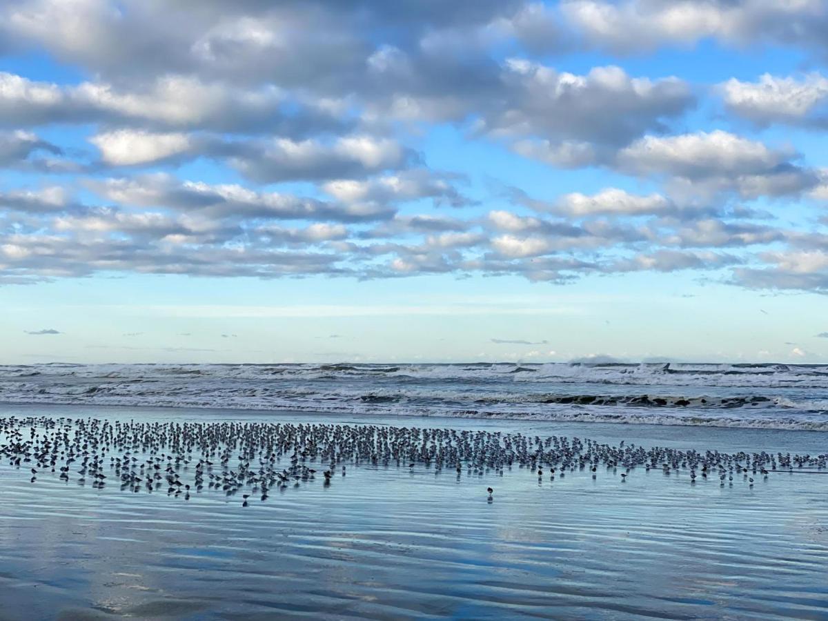 Tidal House #10 - Ocean Shores Chalet エクステリア 写真